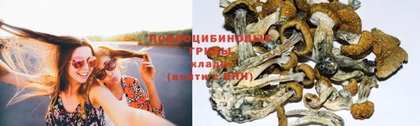mdma Елабуга