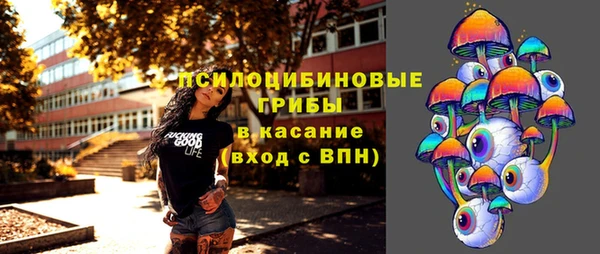 бошки Ельня