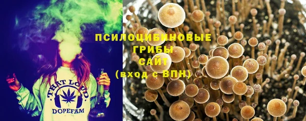 бошки Ельня