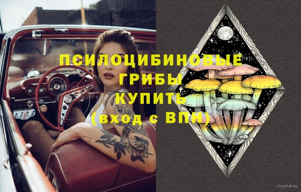 бошки Елизово