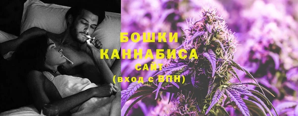 бошки Ельня