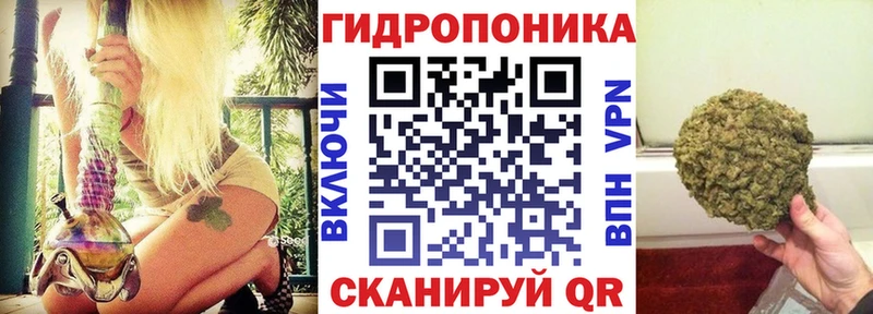 Купить закладки  Карабулак  Бошки Шишки SATIVA & INDICA 
